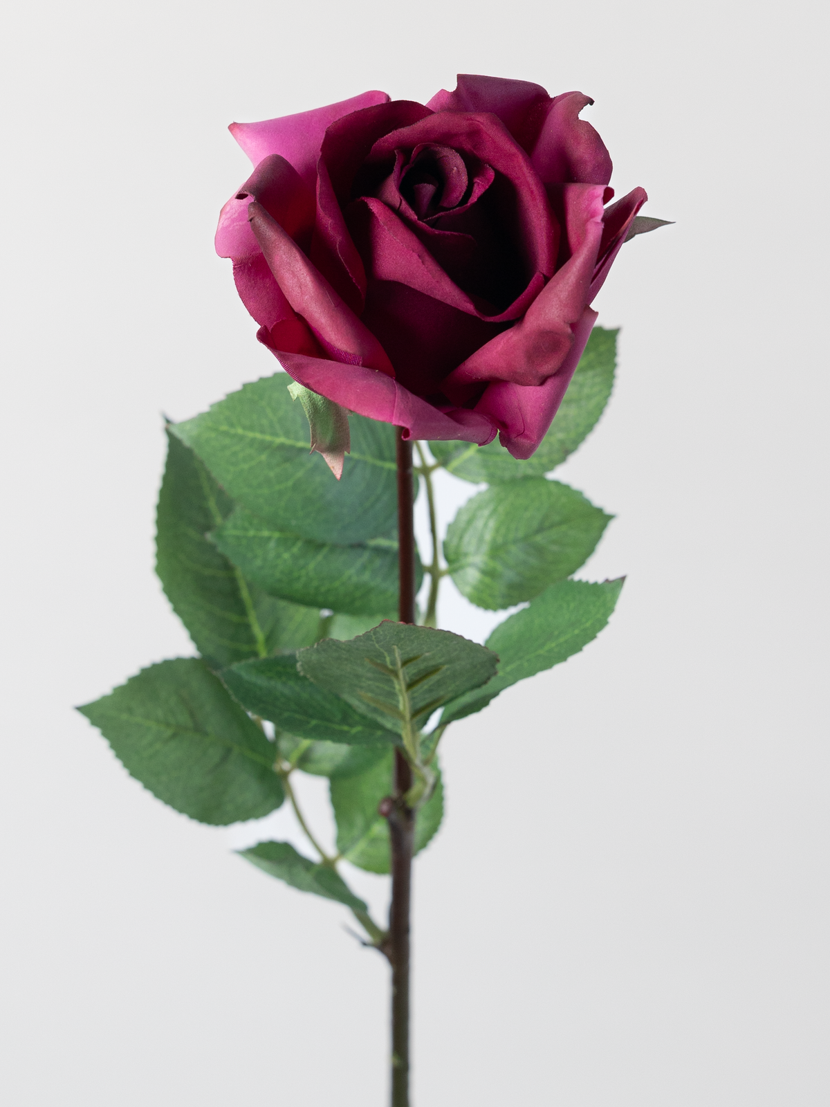 Artificial Rose in Burgundy Wine