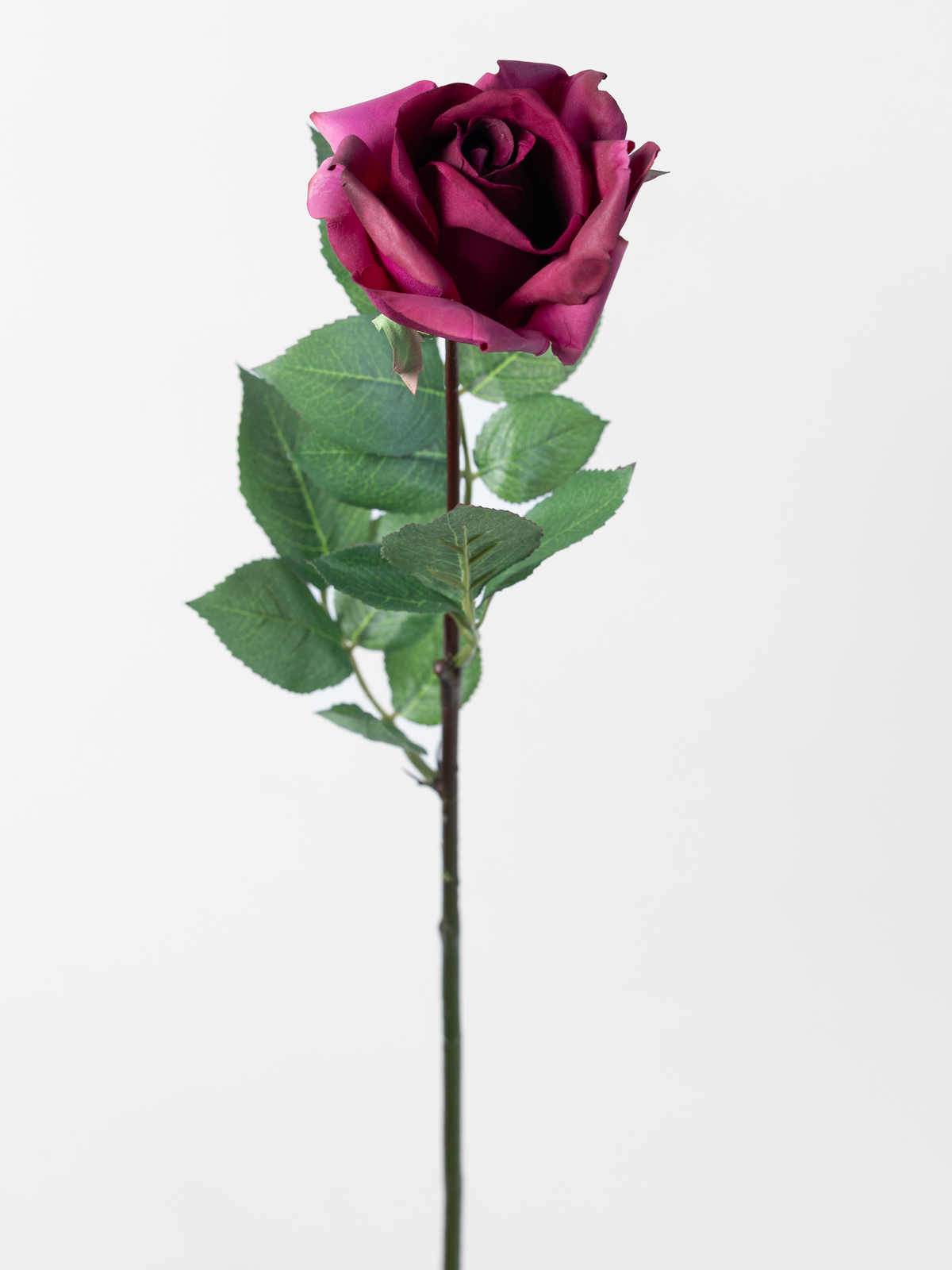 Artificial Rose in Burgundy Wine