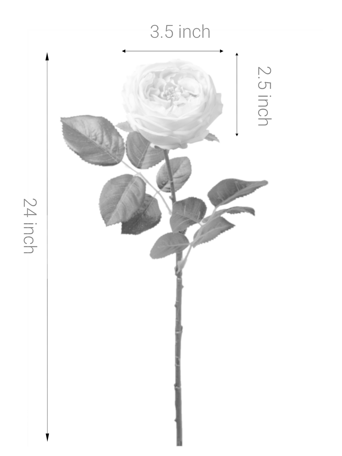 Artificial English Rose in White