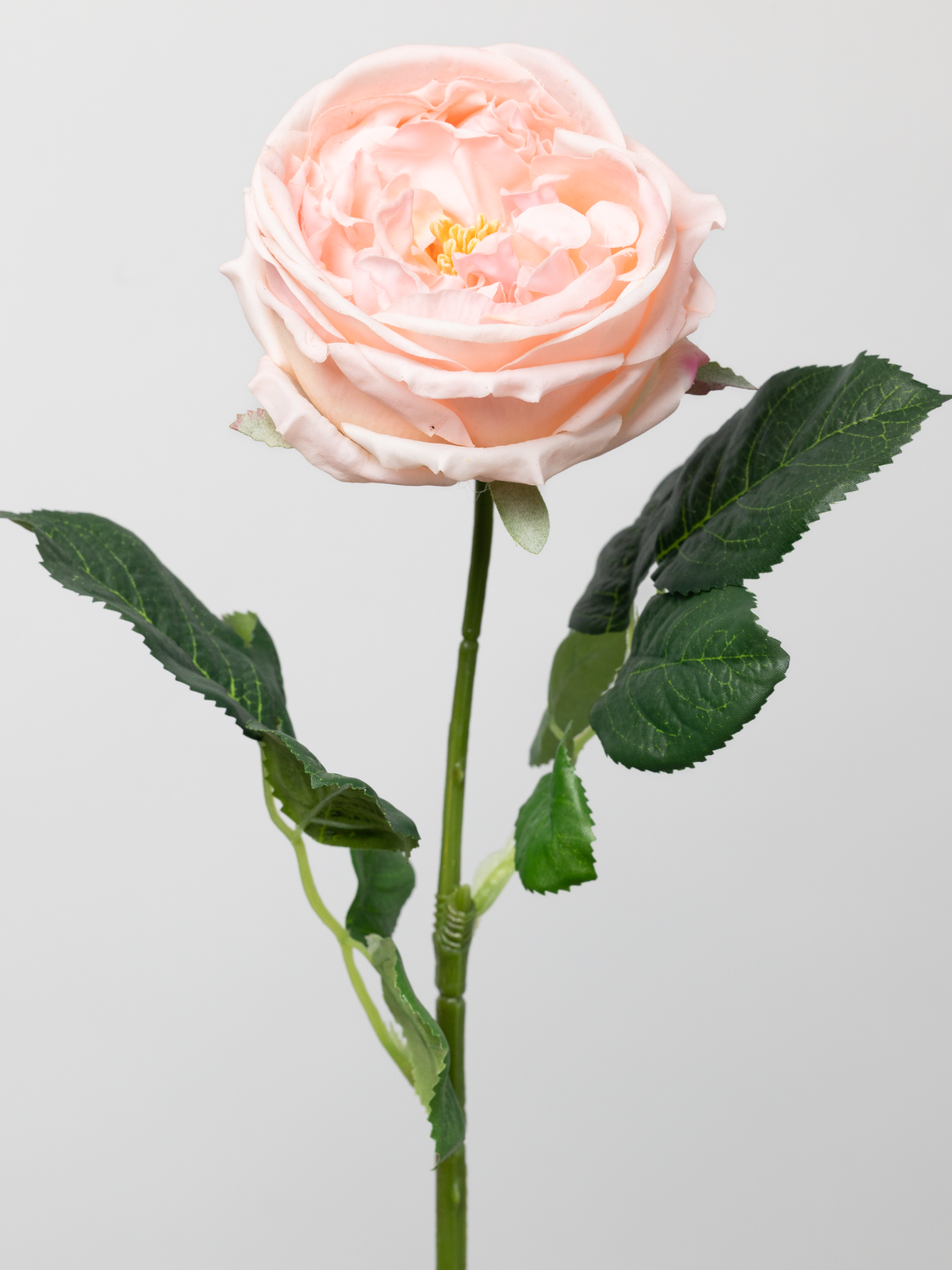 Artificial English Rose in Pink