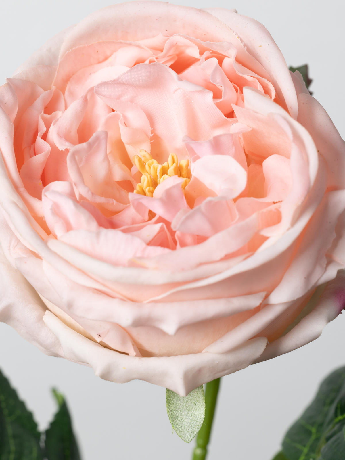 Artificial English Rose in Pink