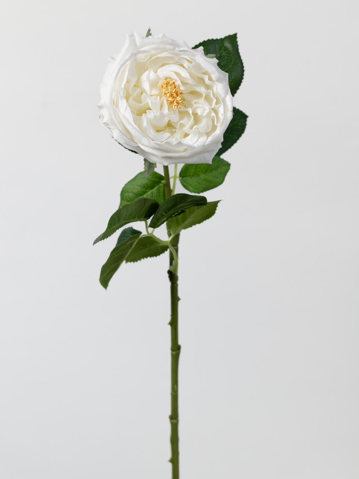 Artificial English Rose in White