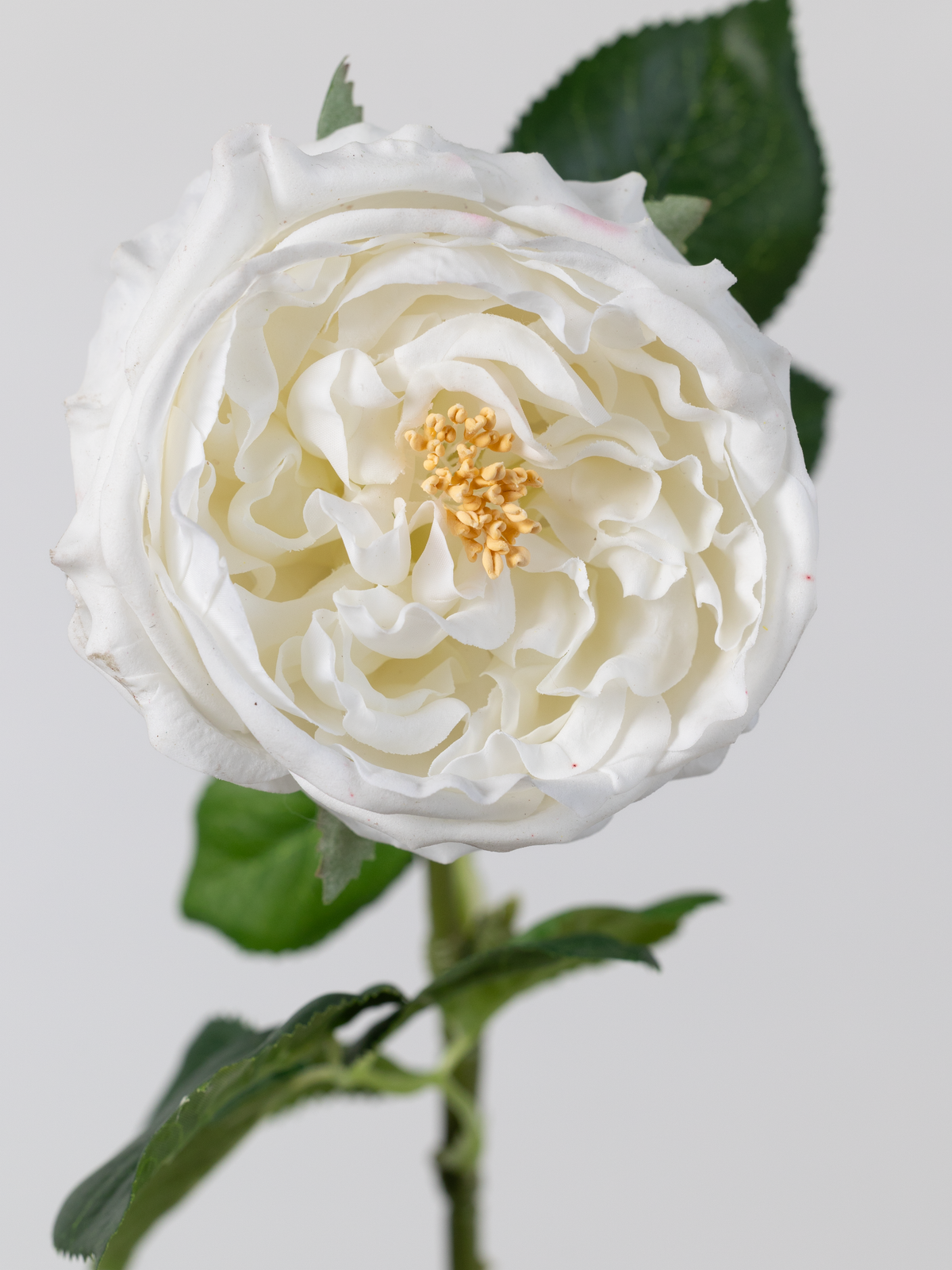 Artificial English Rose in White