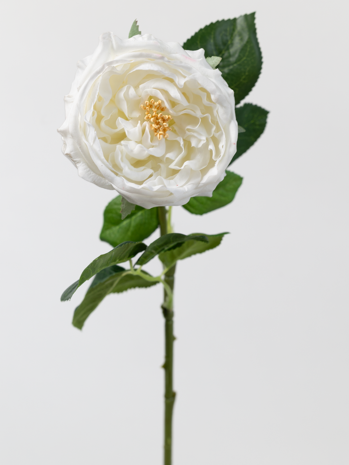 Artificial English Rose in White