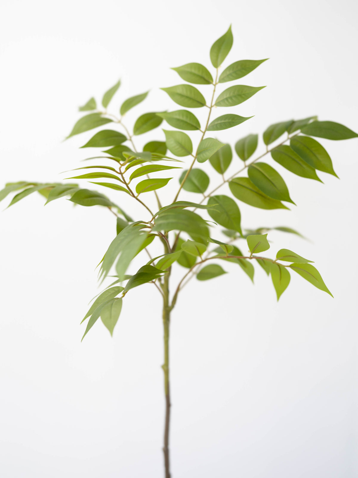 Artificial Leafy Mahogany Branch