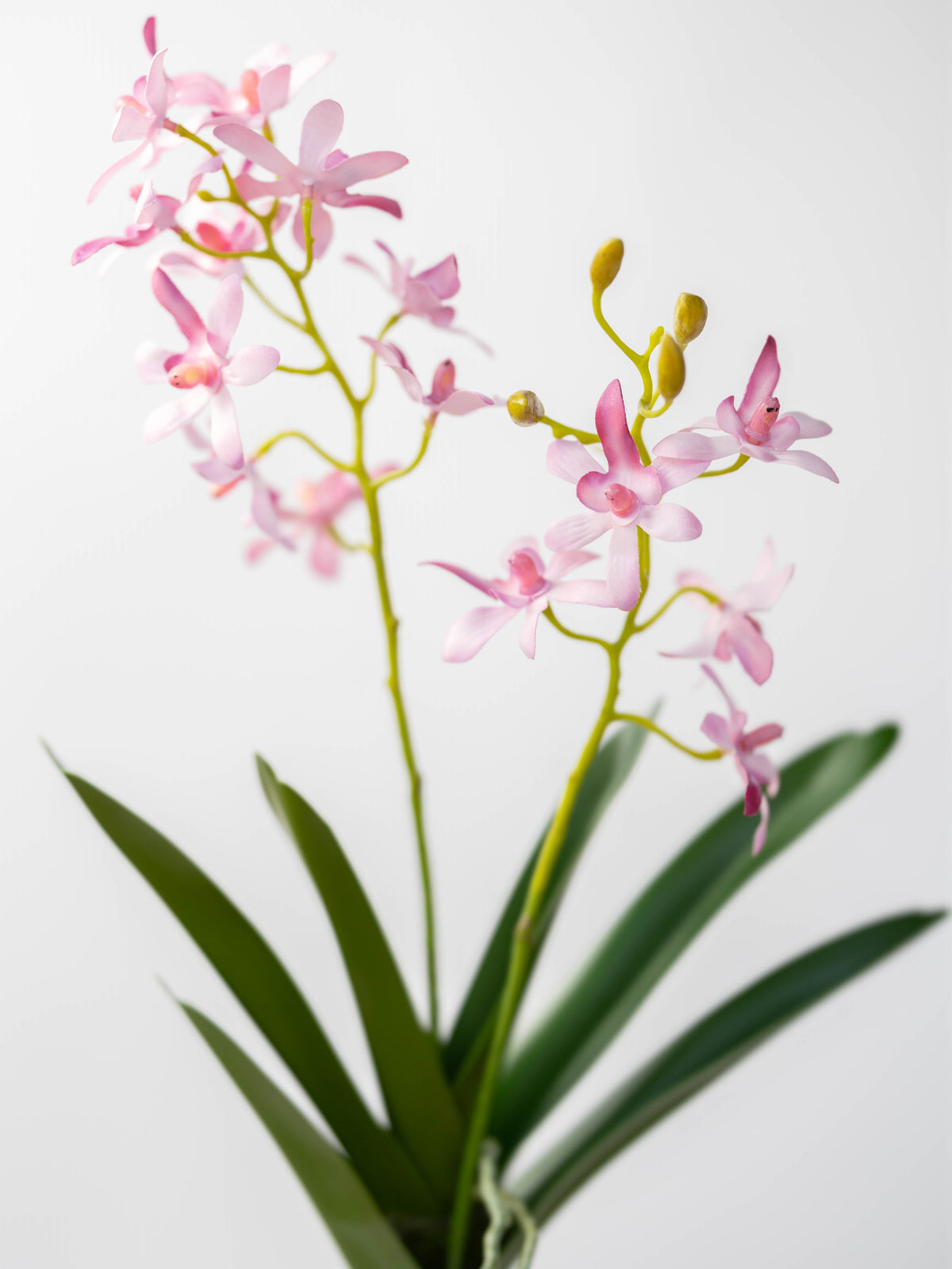 Artificial Vanda Orchid stem in Pink