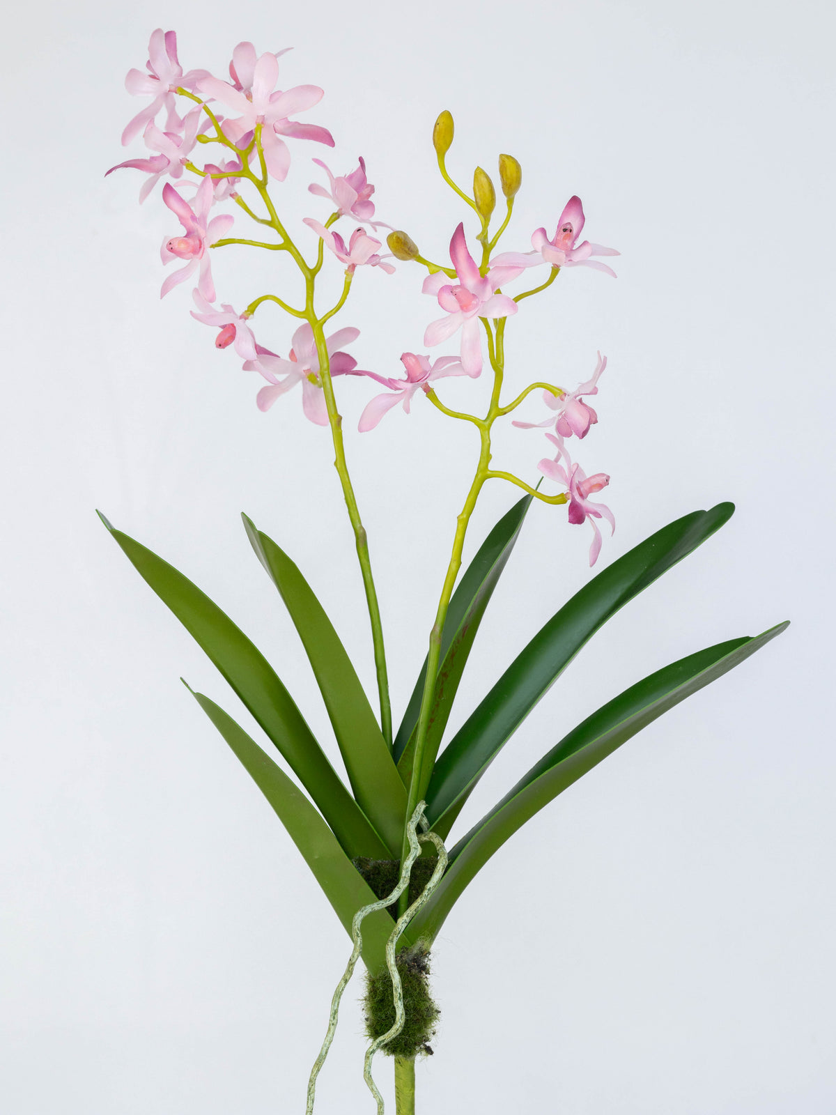 Artificial Vanda Orchid stem in Pink