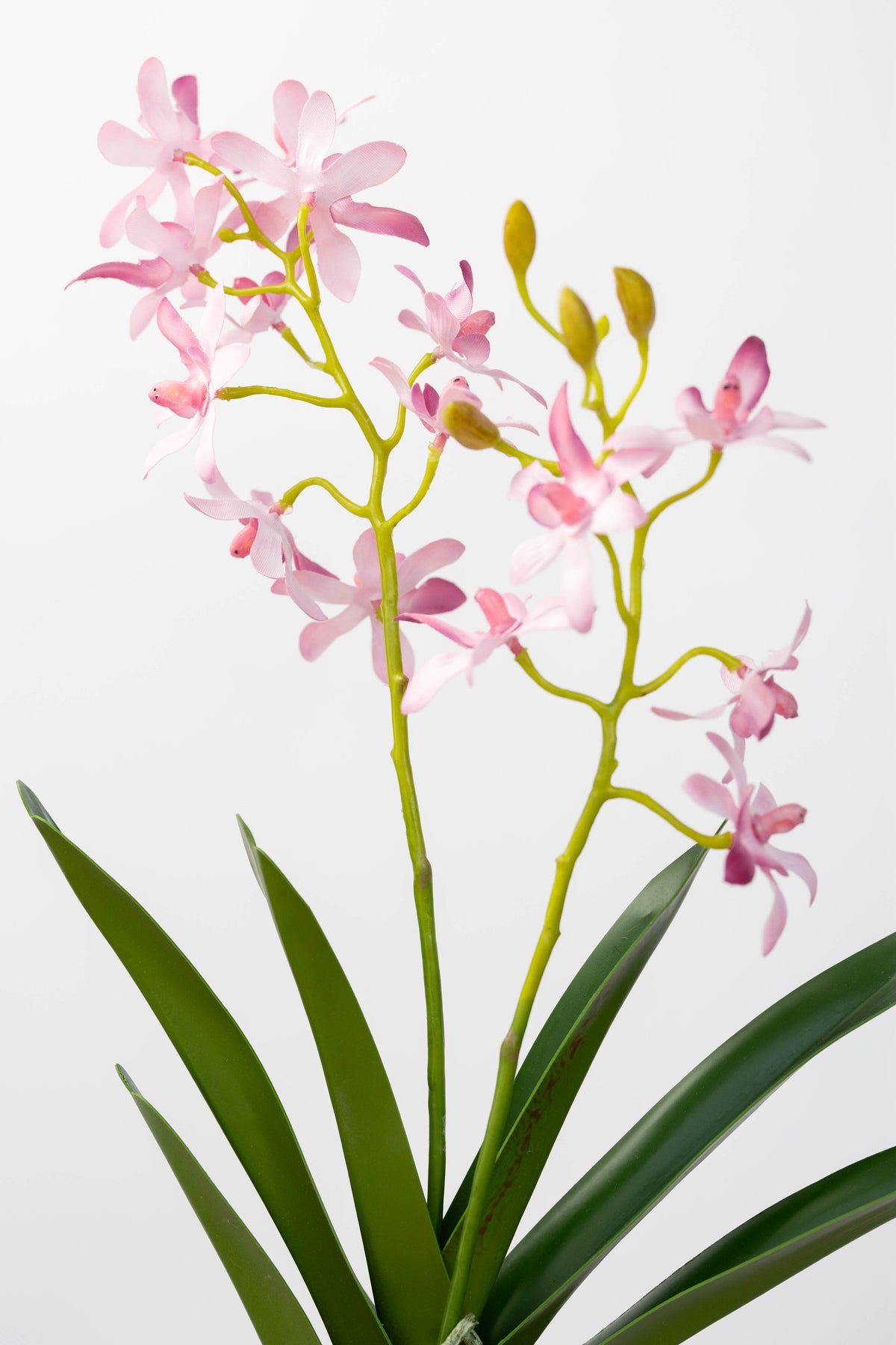 Artificial Vanda Orchid stem in Pink