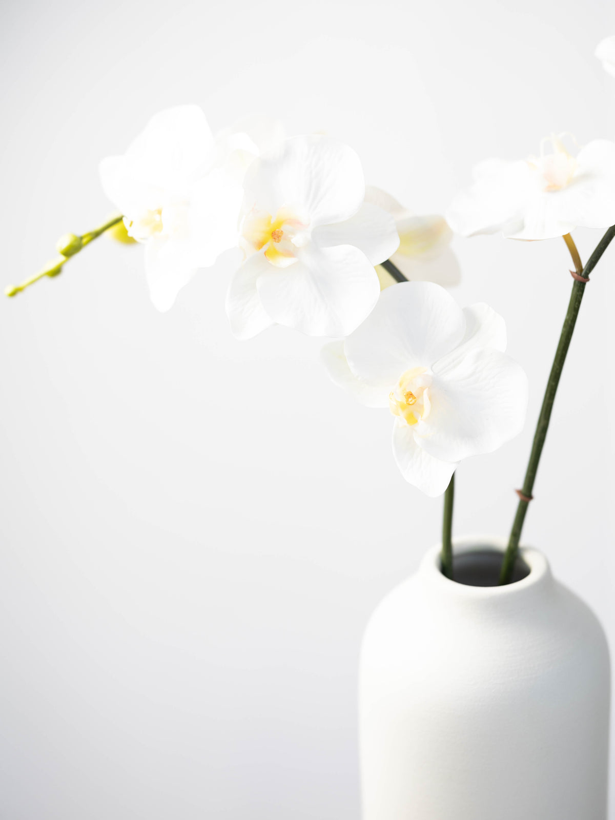 Real Touch Phalaenopsis Orchid in White