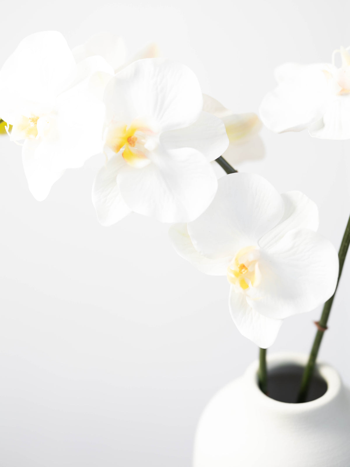 Real Touch Phalaenopsis Orchid in White