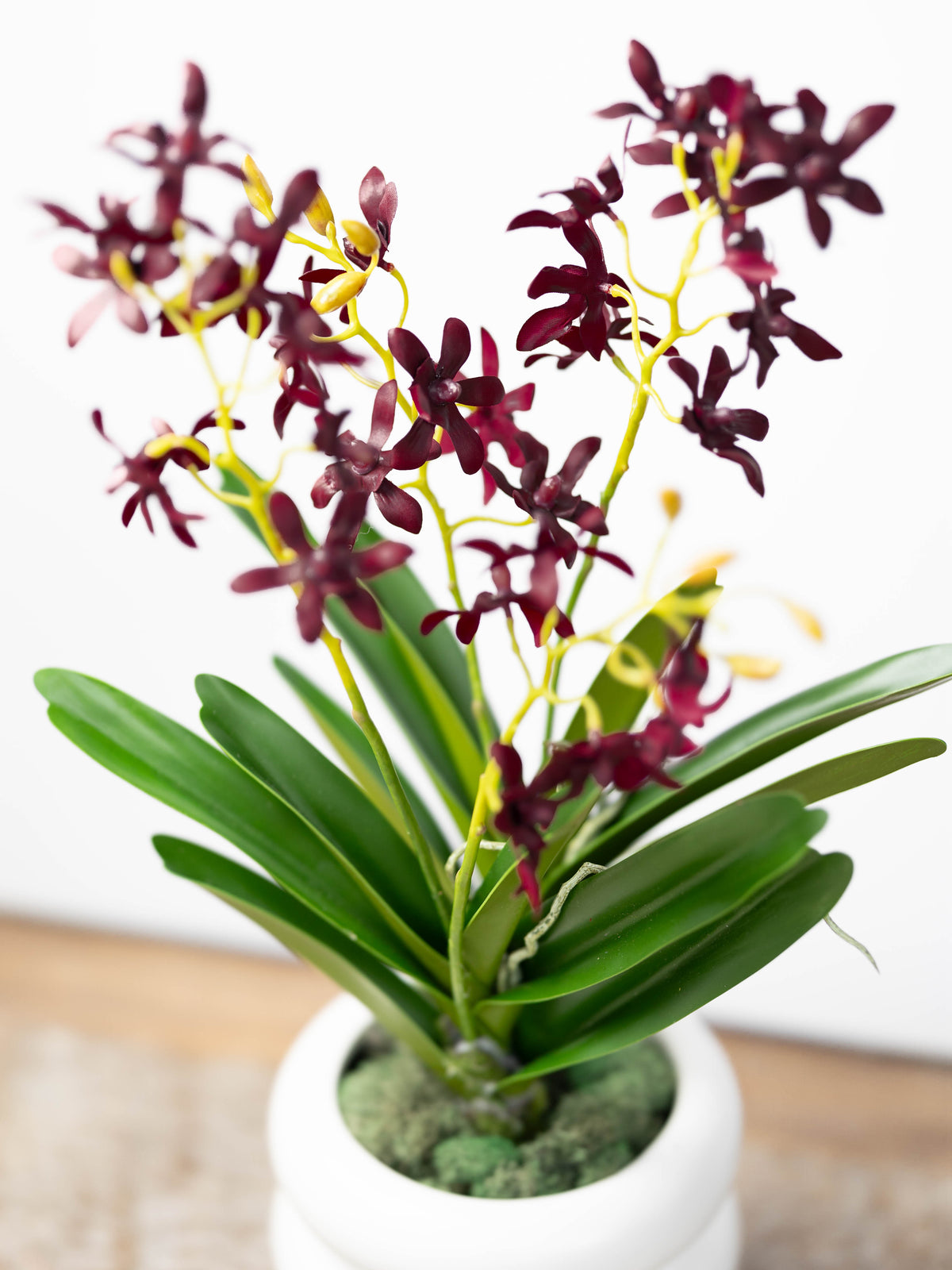 Artificial Vanda Orchid Stem in Burgundy