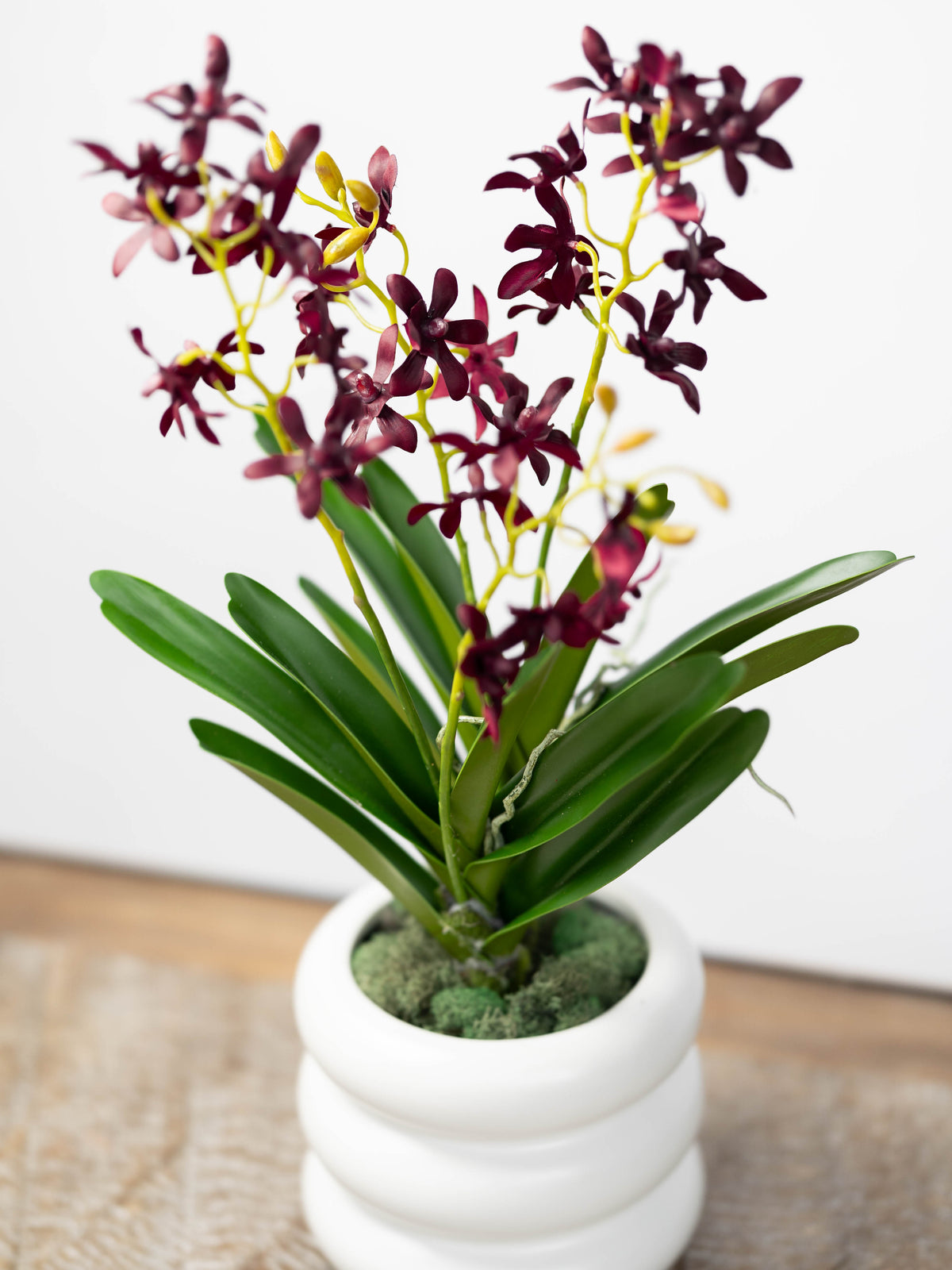 Artificial Vanda Orchid Stem in Burgundy