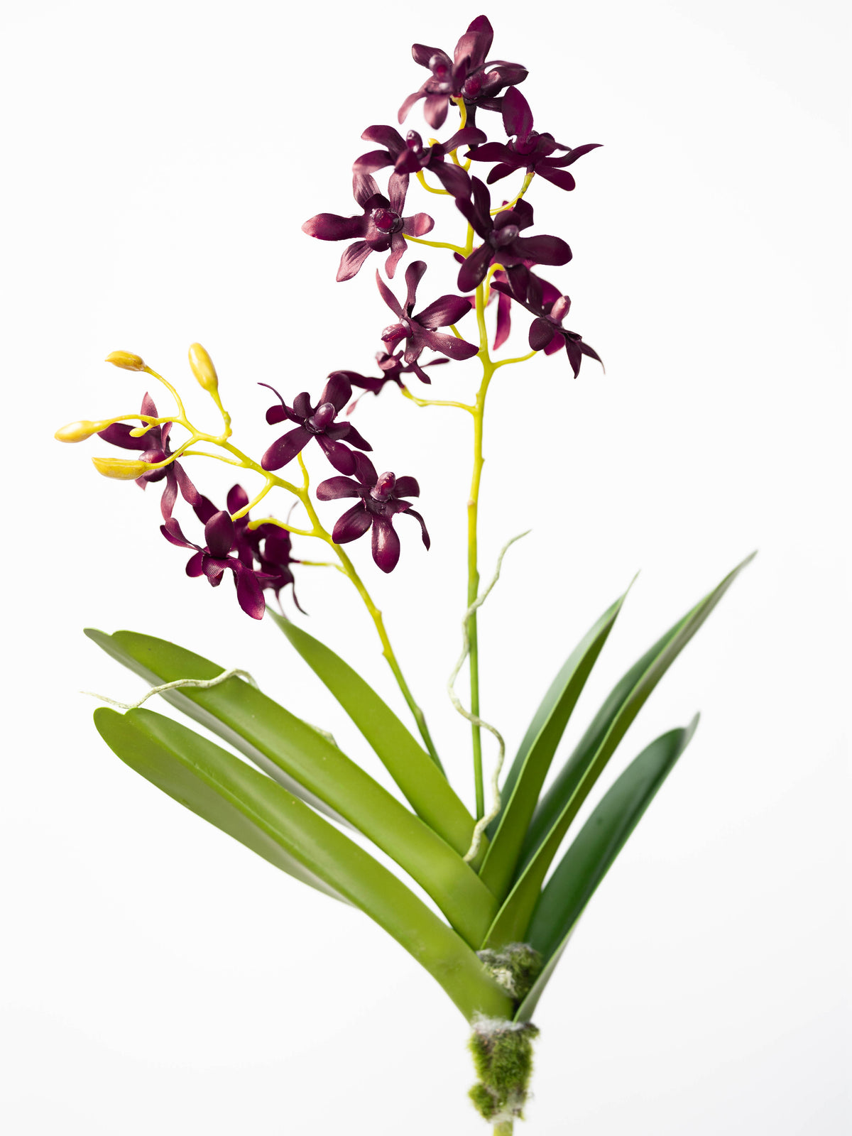 Artificial Vanda Orchid Stem in Burgundy