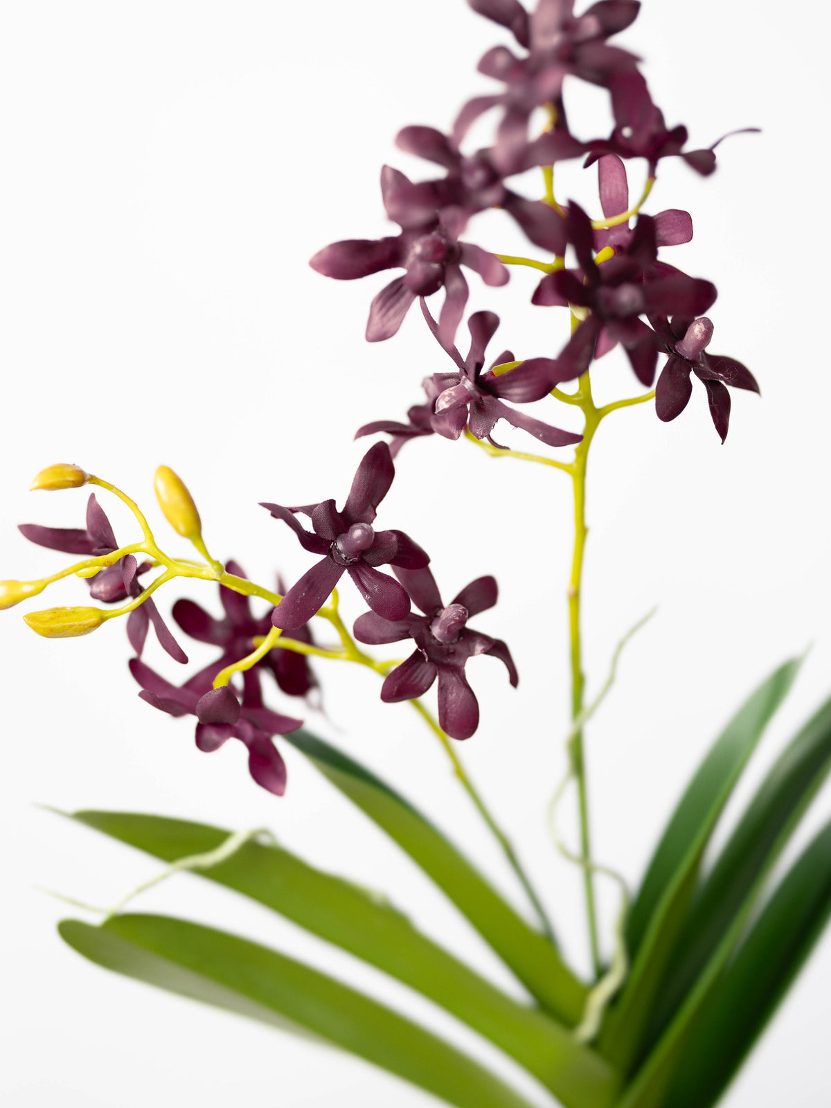 Artificial Vanda Orchid Stem in Burgundy