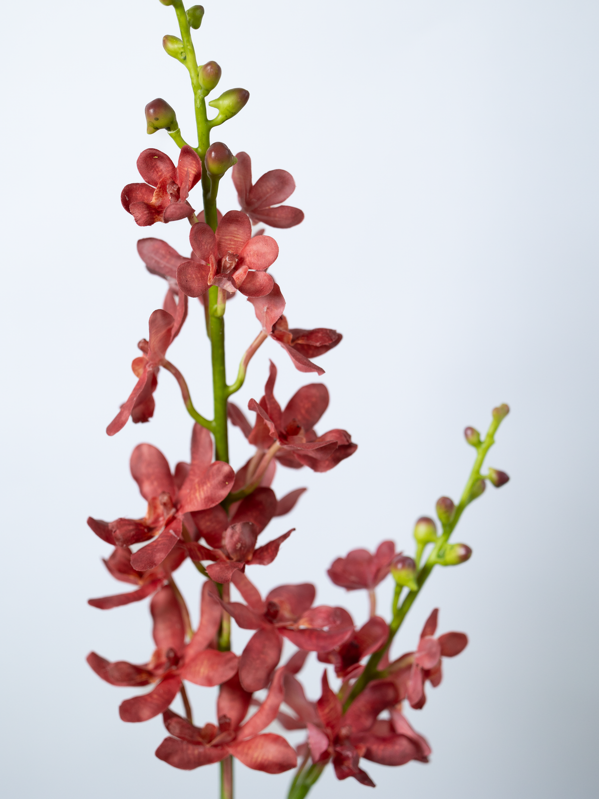 Faux Dendrobium Orchid Stem in Raspberry Red