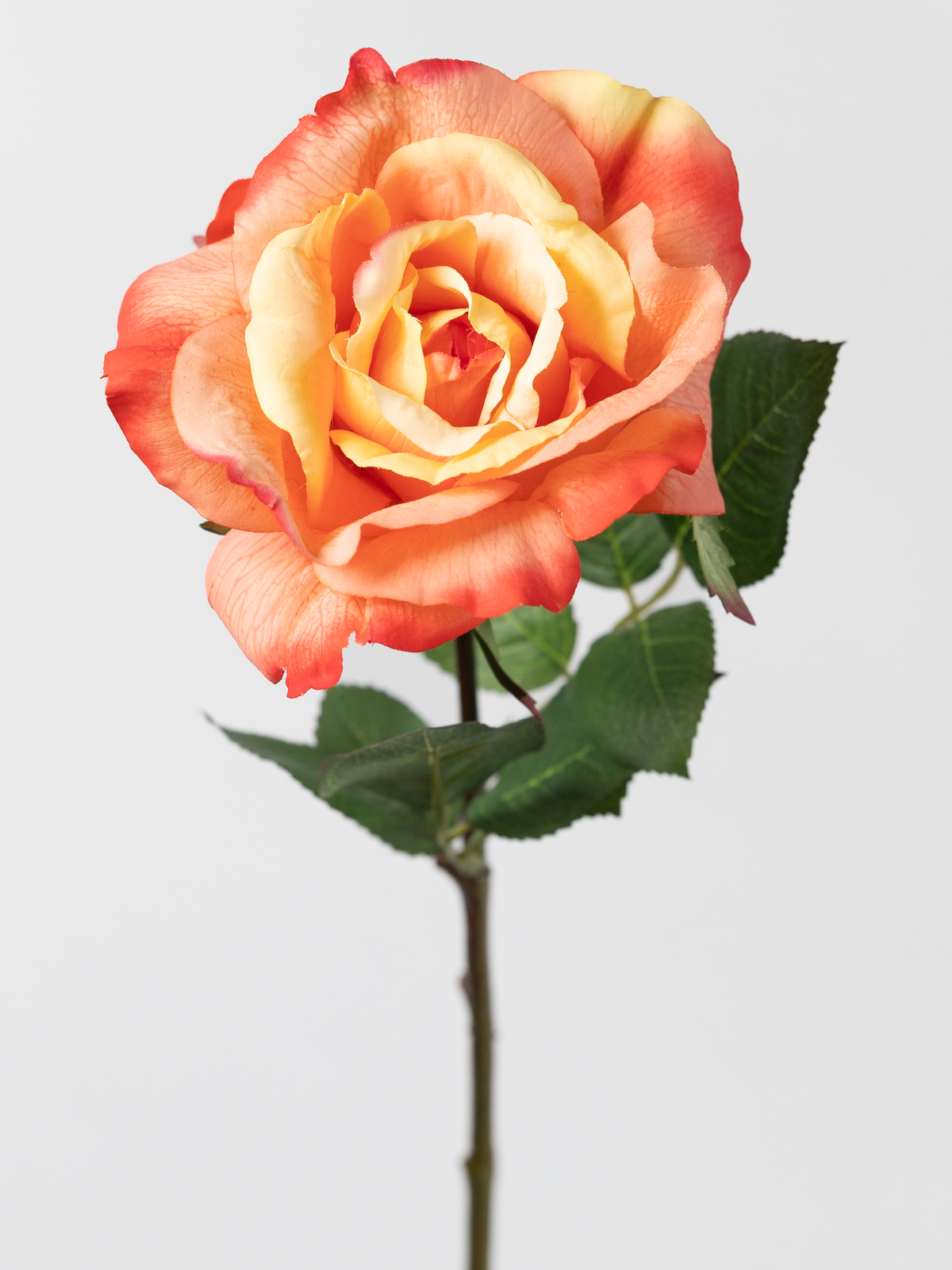 Real Touch Sunset Rose