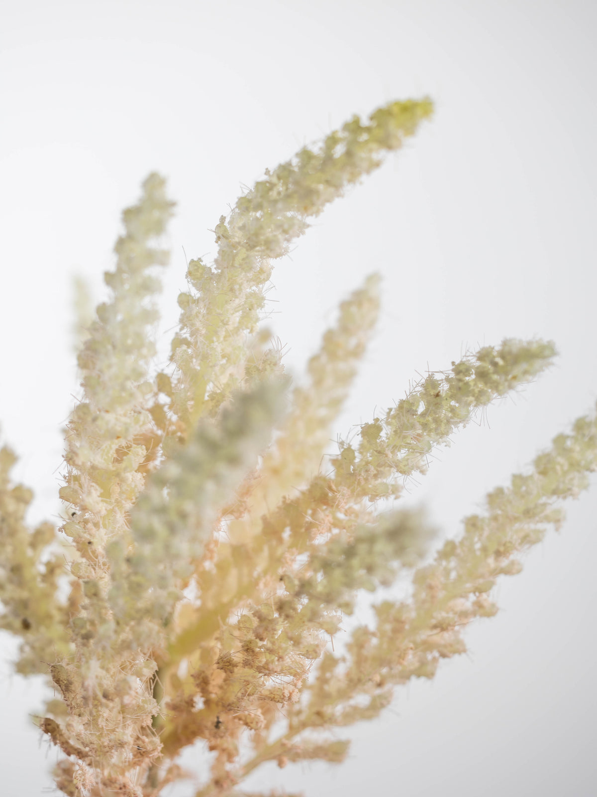 Pink Astilbe Artificial Stem