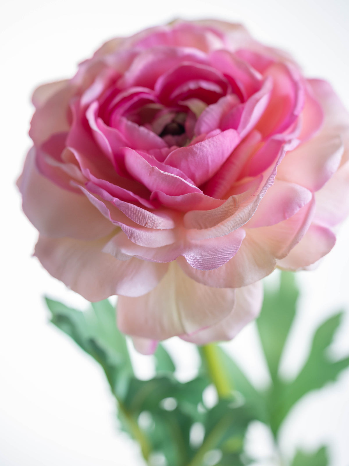 Artificial Pink Ranunculus