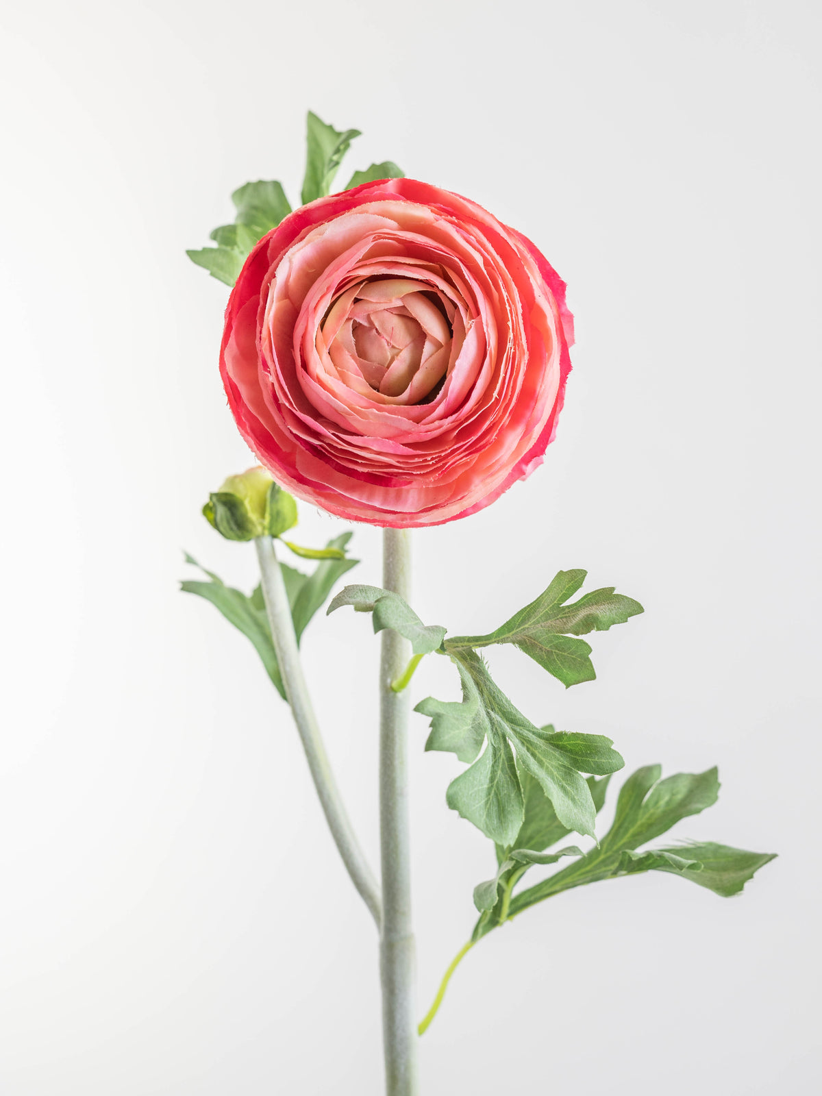 Bright Pink Artificial Ranunculus