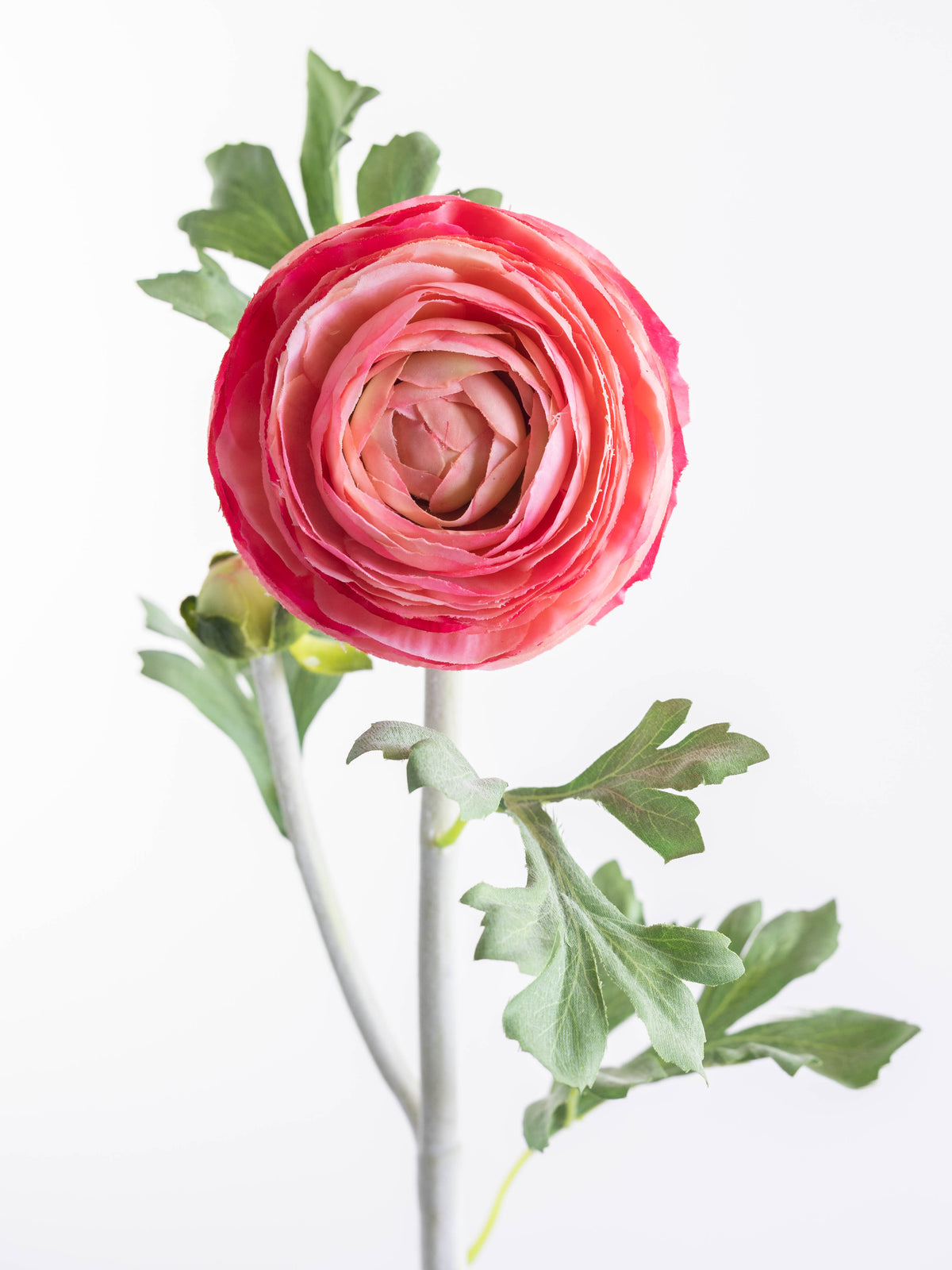 Bright Pink Artificial Ranunculus