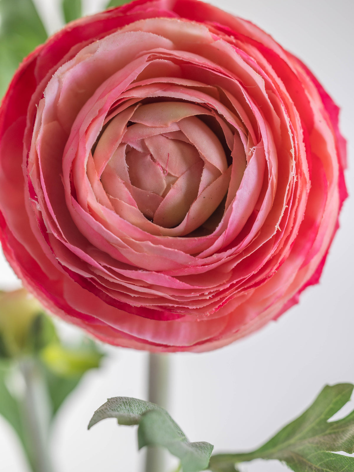 Bright Pink Artificial Ranunculus