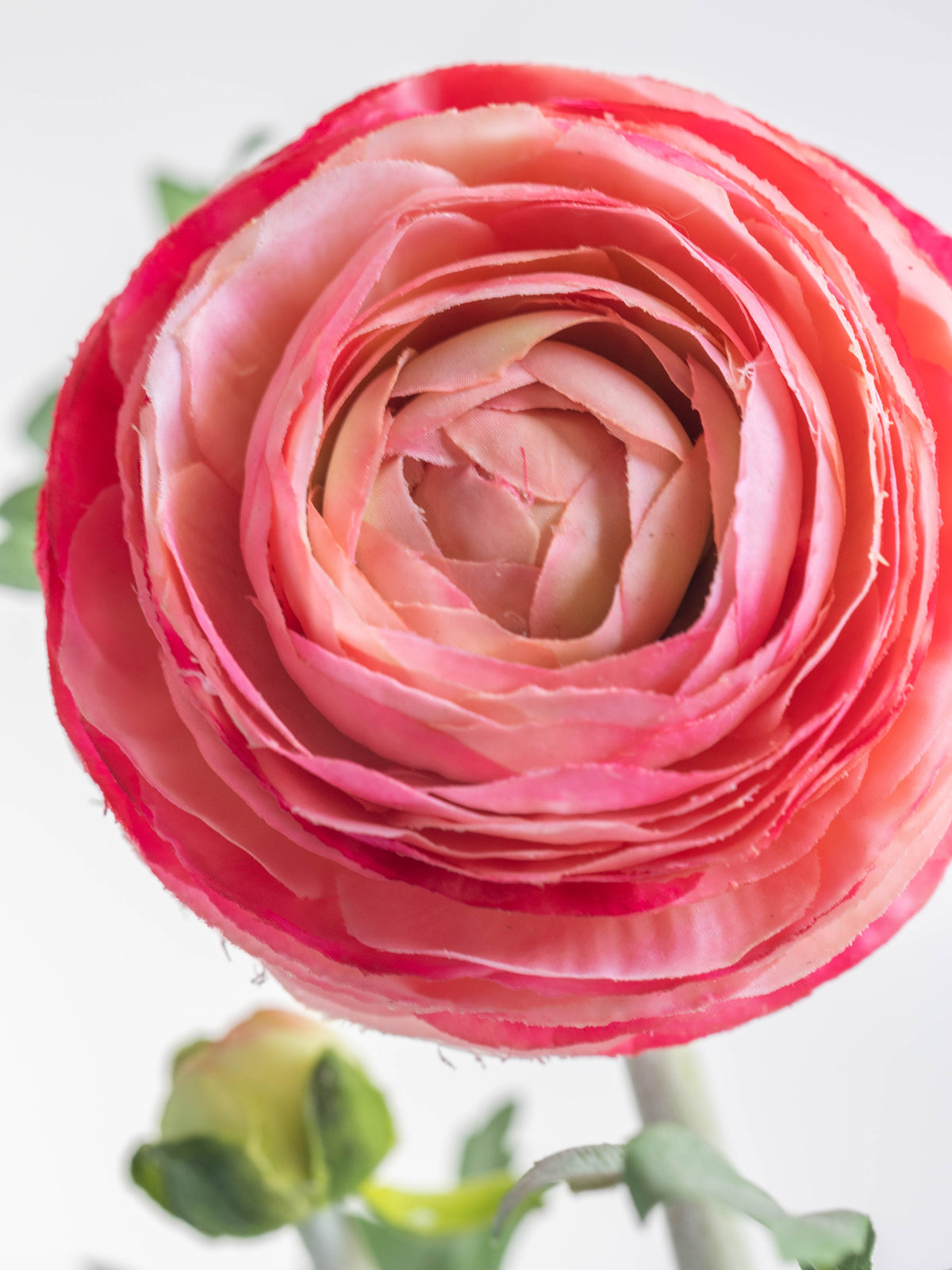 Bright Pink Artificial Ranunculus