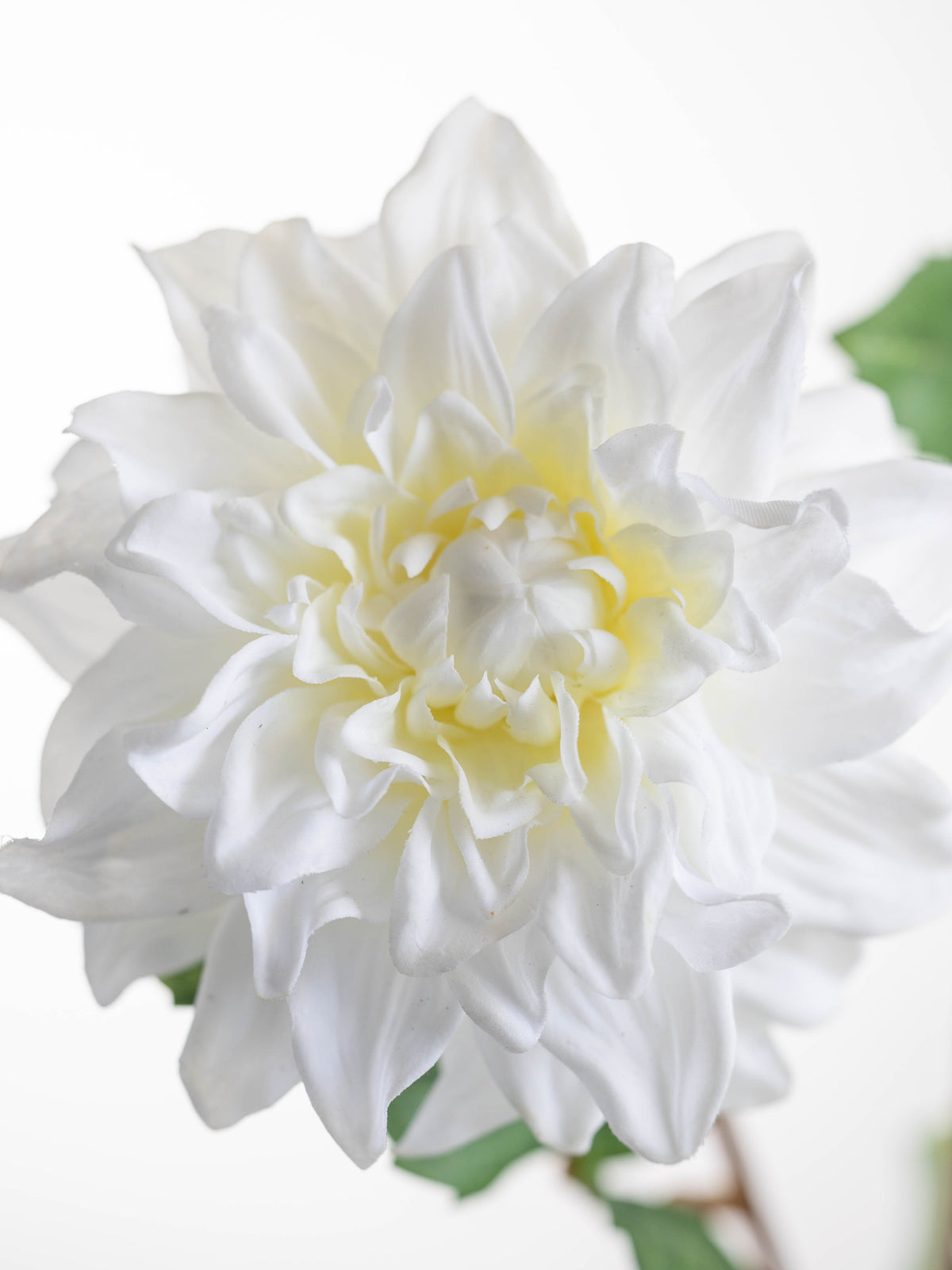 Real Touch White Dahlia