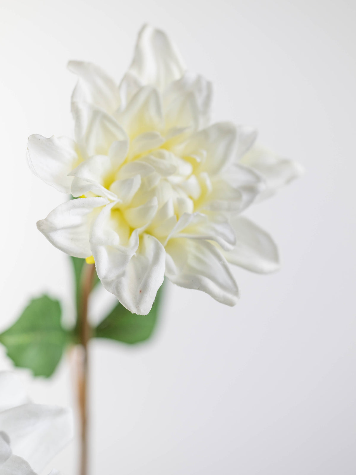 Real Touch White Dahlia