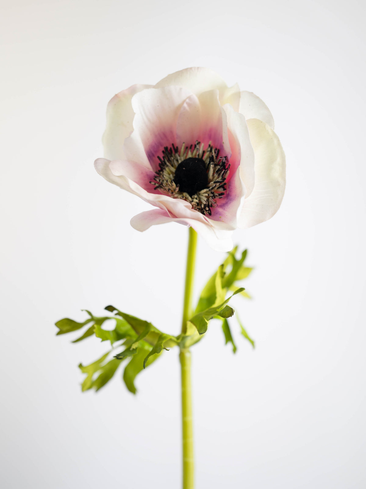 Real Touch White and Purple Poppy