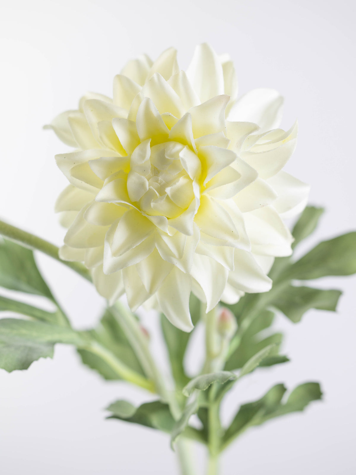 Real Touch Ivory Dahlia