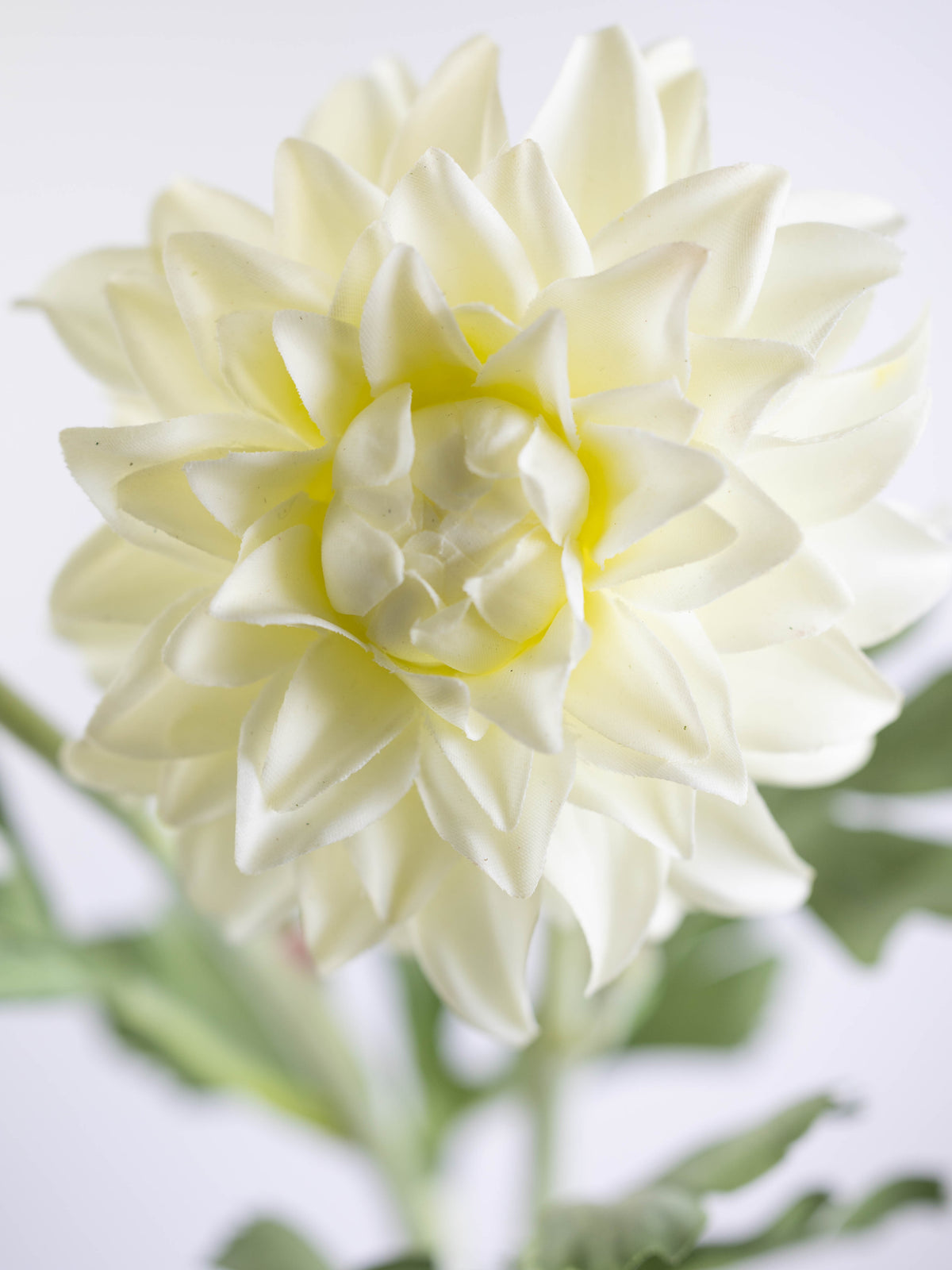 Real Touch Ivory Dahlia