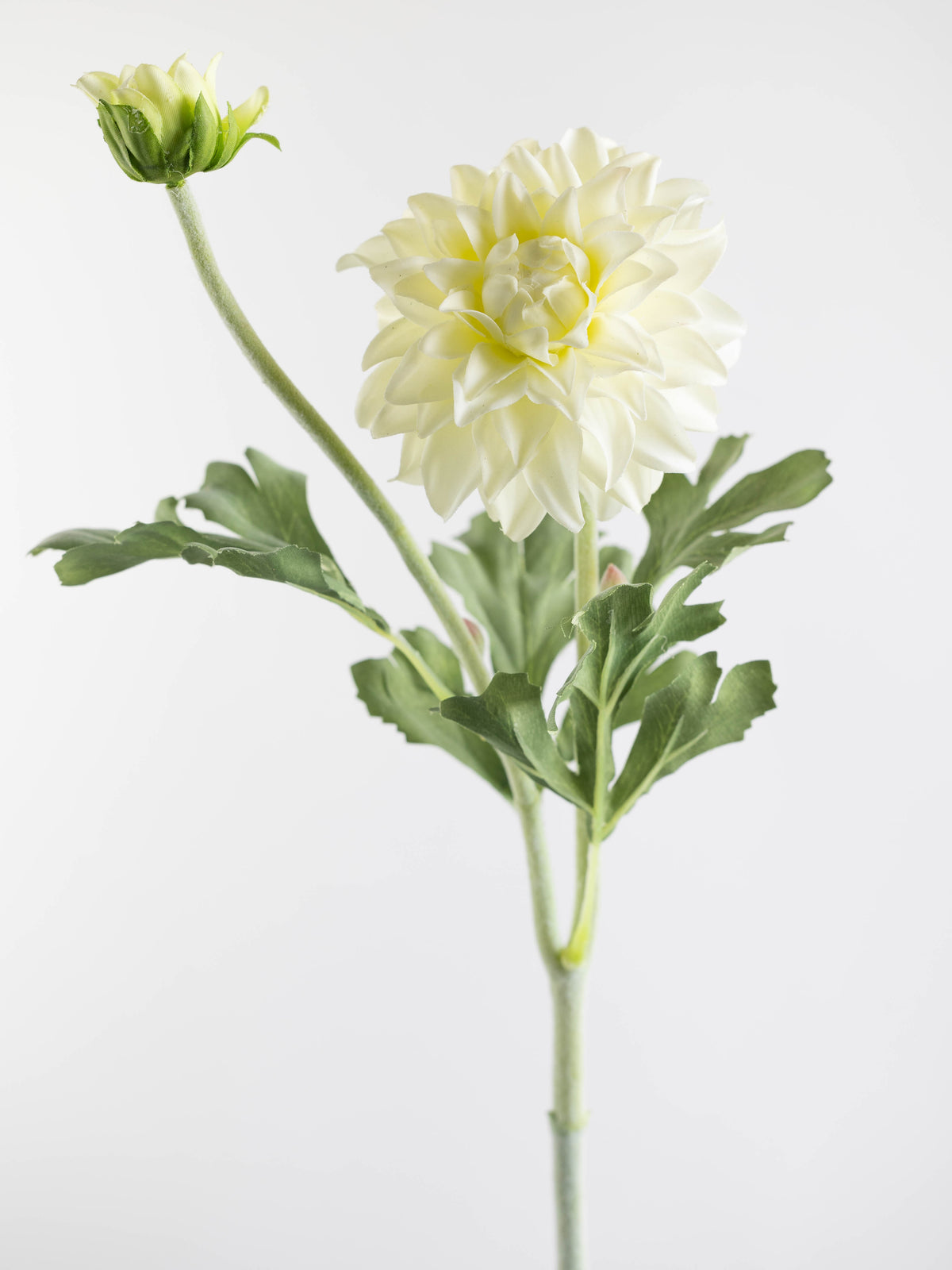 Real Touch Ivory Dahlia