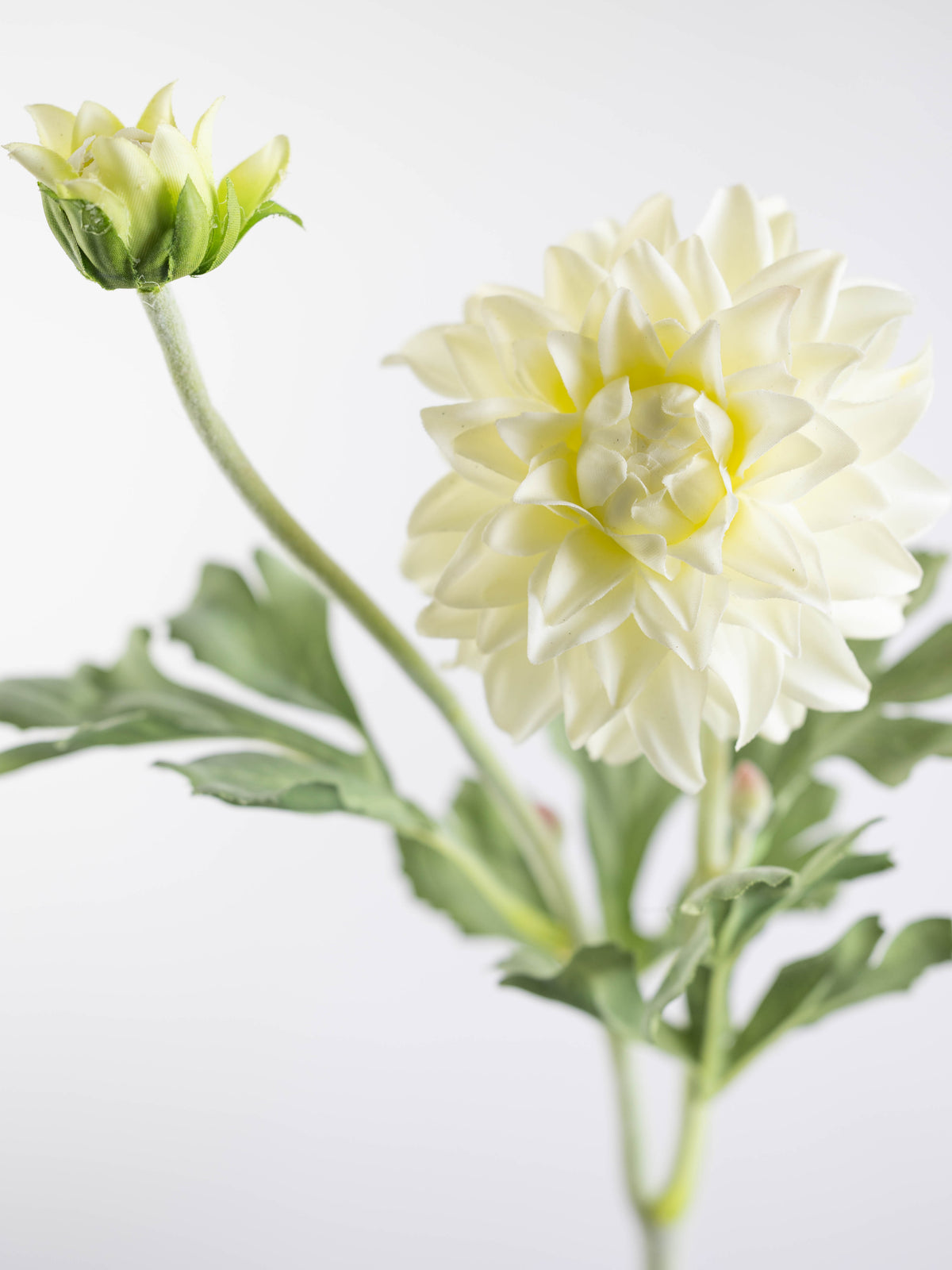 Real Touch Ivory Dahlia