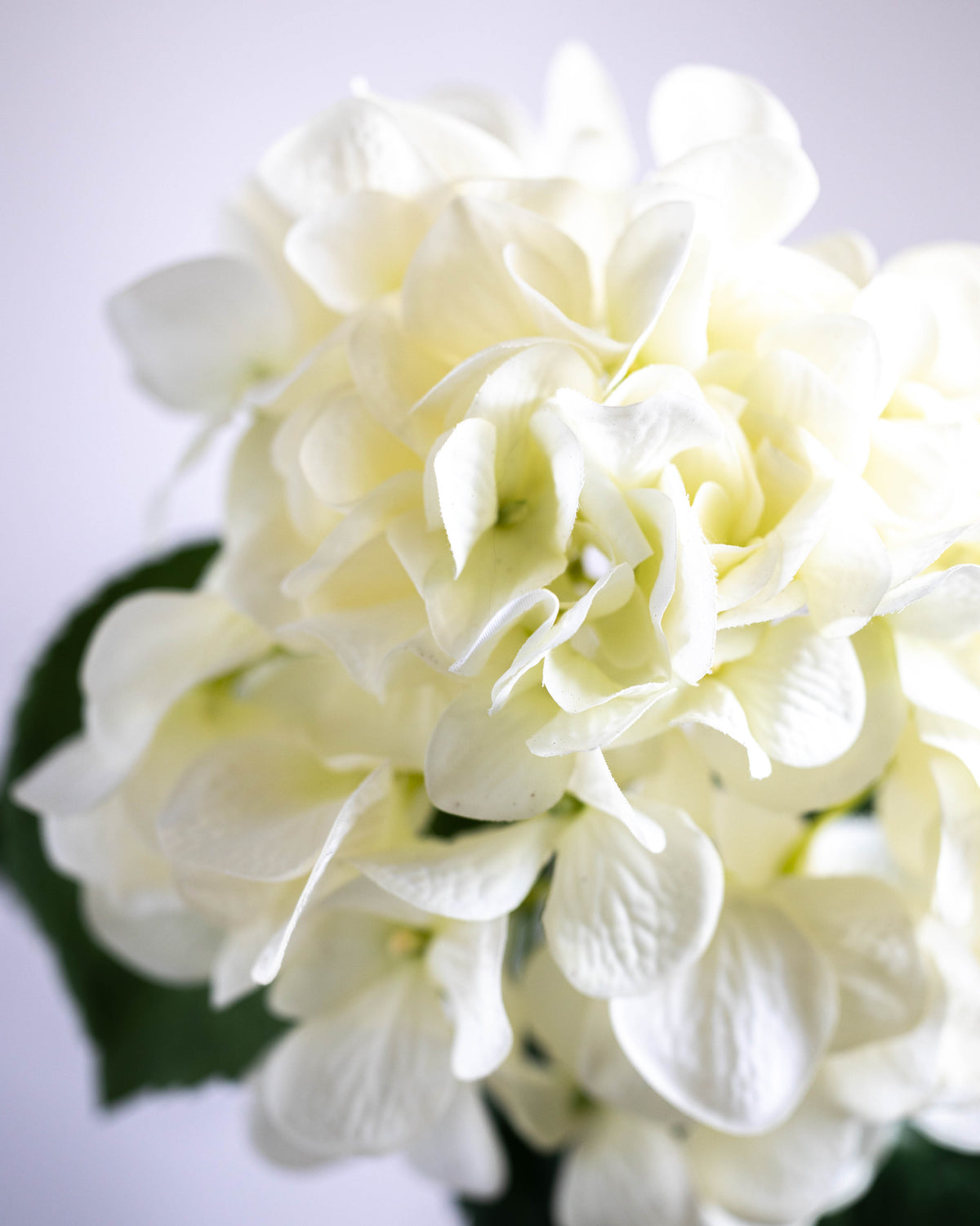 Real Touch Ivory Hydrangea