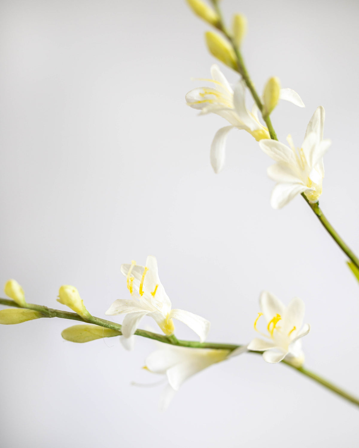 Artificial Honeysuckle Stem