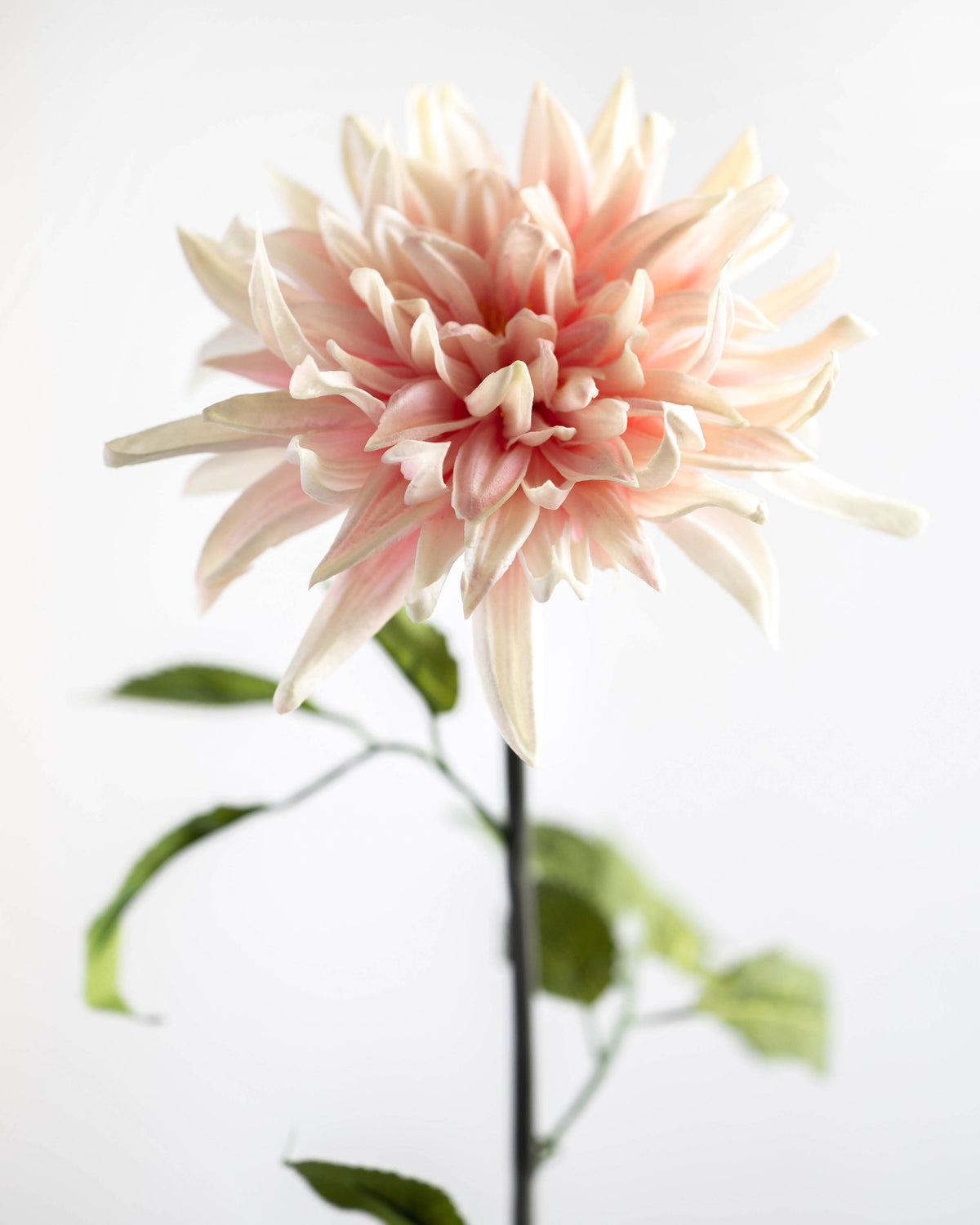 Light Pink Real Touch Dahlia