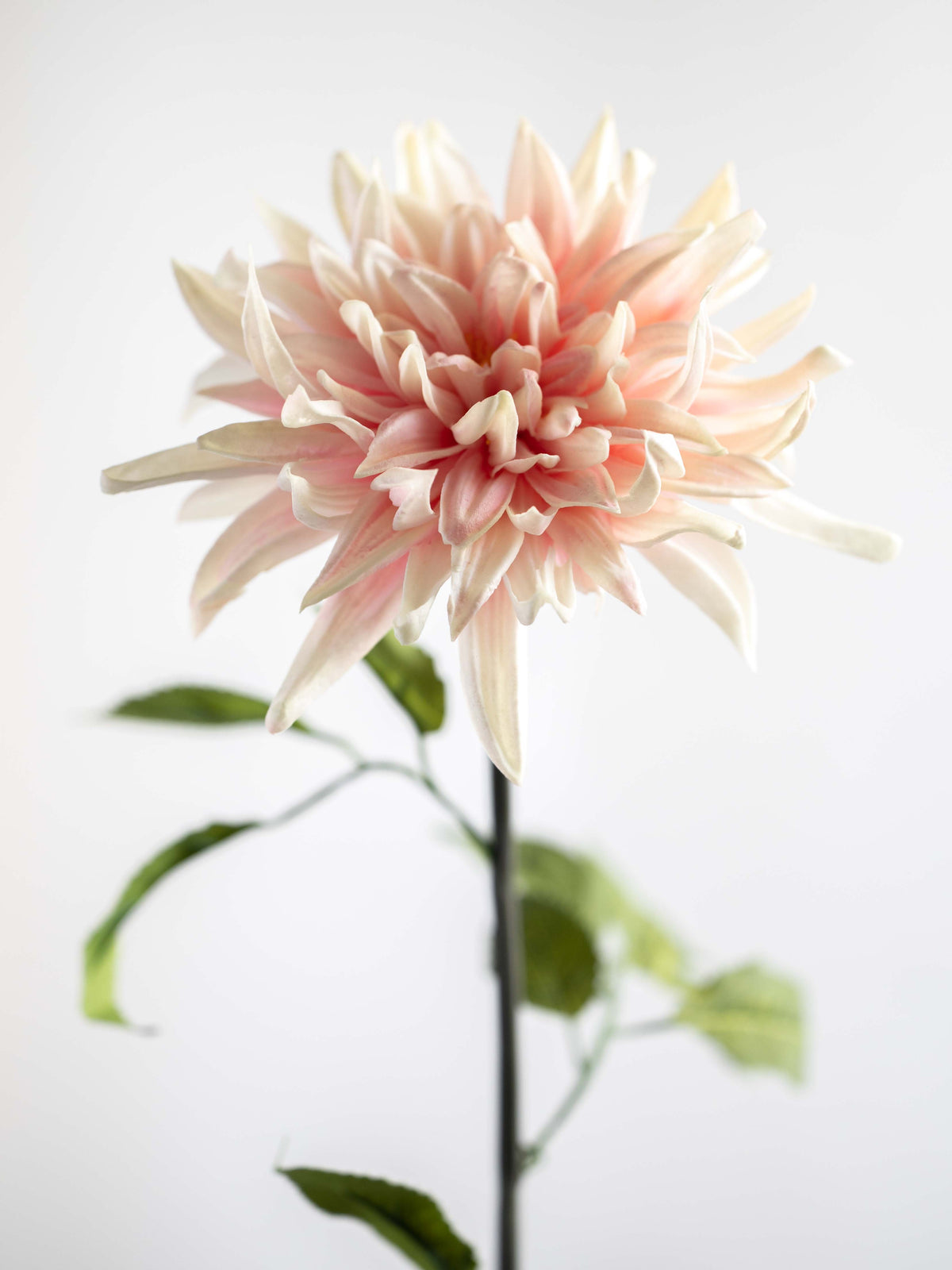 Light Pink Real Touch Dahlia