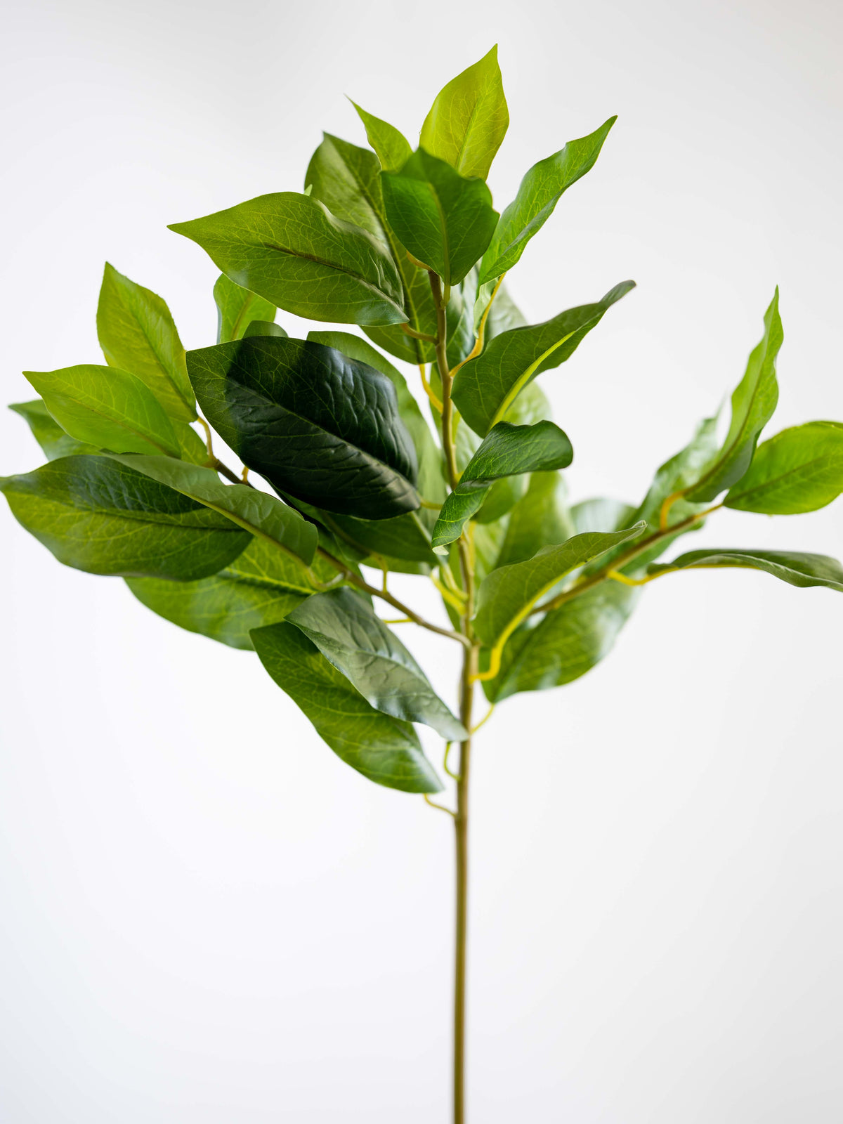 Artificial Bay Leaf Stem