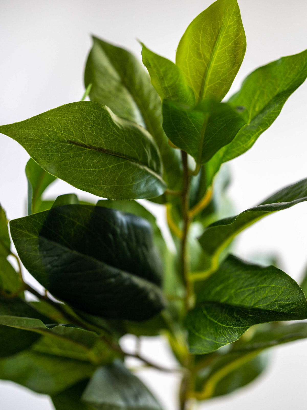 Artificial Bay Leaf Stem